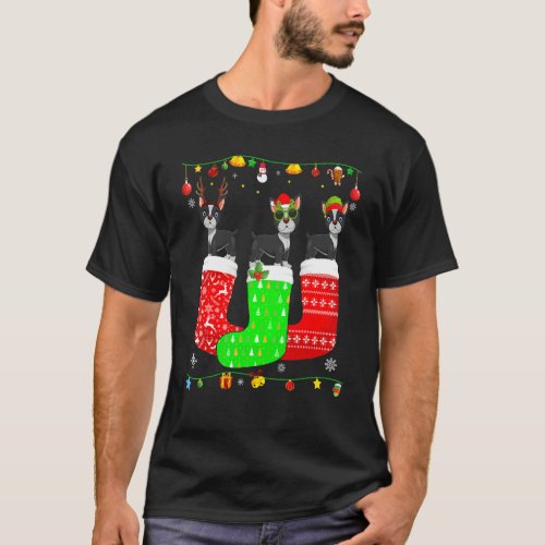 Three Boston Terrier In Christmas Socks Matching X T-Shirt