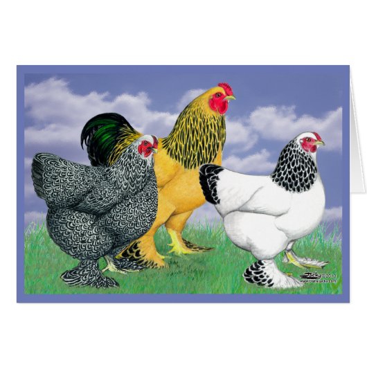Three Brahmas Cards (Front Horizontal)