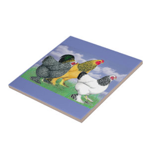 Three Brahmas Ceramic Tile