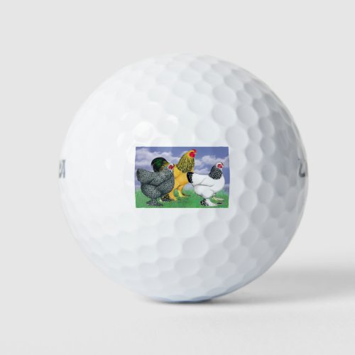Three Brahmas Golf Balls