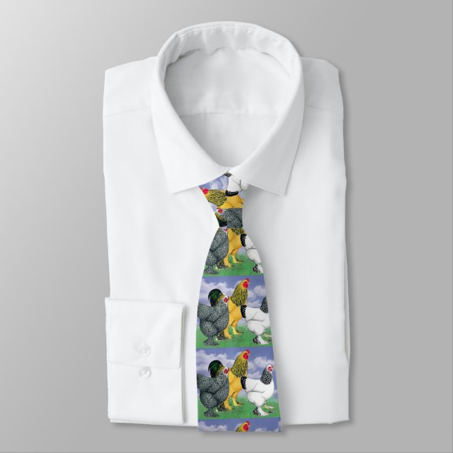 Three Brahmas Neck Tie (Tied)