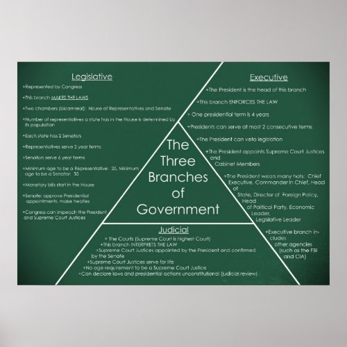 Three Branches of Government Poster