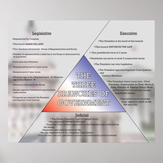 Three Branches of Government *UPDATED* Poster (Front)