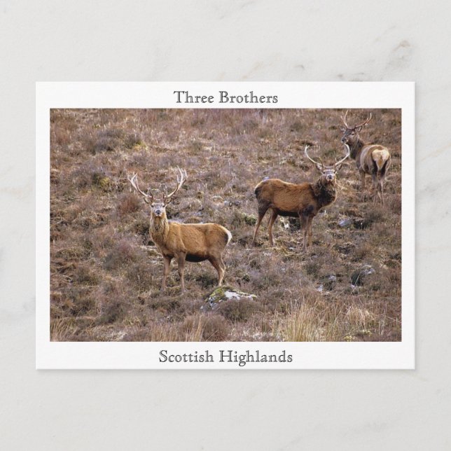 Three Brothers, Scottish Highlands Postcard (Front)