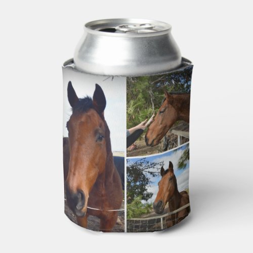 Three Brown Horses Can Cooler