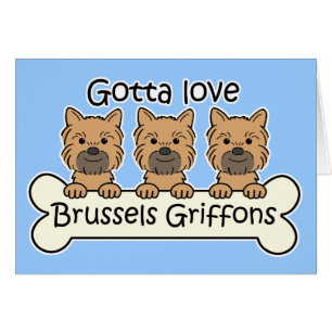 Three Brussels Griffons Cards