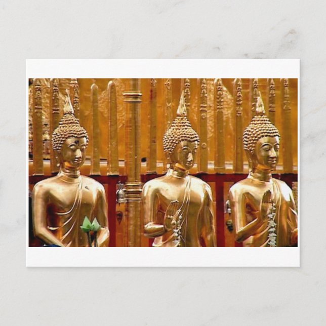 Three Buddhas in Thailand Postcard (Front)