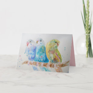 Three Budgies Sitting on a Branch cute Card