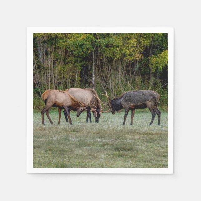 Three Bull Elk Fight Napkins (Front)