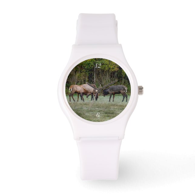 Three Bull Elk Fight Watch (Front)