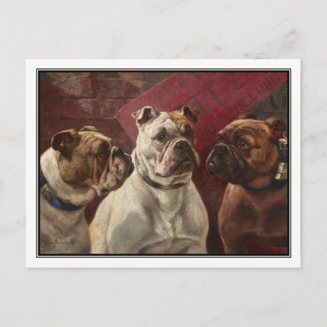 Three Bulldogs by Charles Boland Postcard (Front)