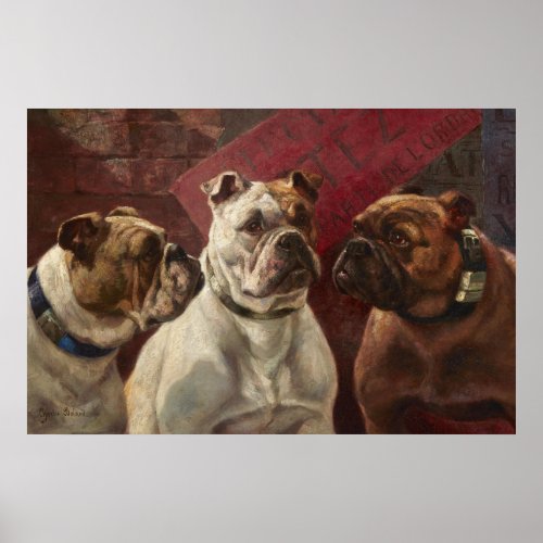 Three Bulldogs by Charles Boland Poster