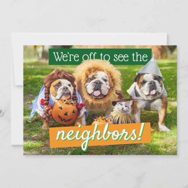 Three Bulldogs in Costumes Invitation (Front)