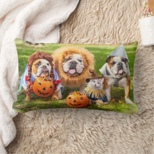 Three Bulldogs in Costumes Lumbar Pillow