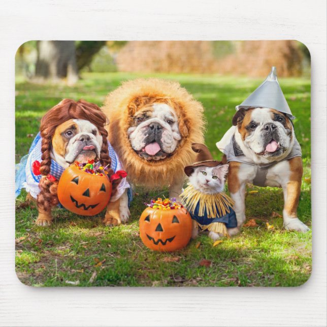 Three Bulldogs in Costumes Mouse Pad (Front)