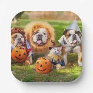 Three Bulldogs in Costumes Paper Plates