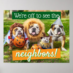Three Bulldogs in Costumes Poster