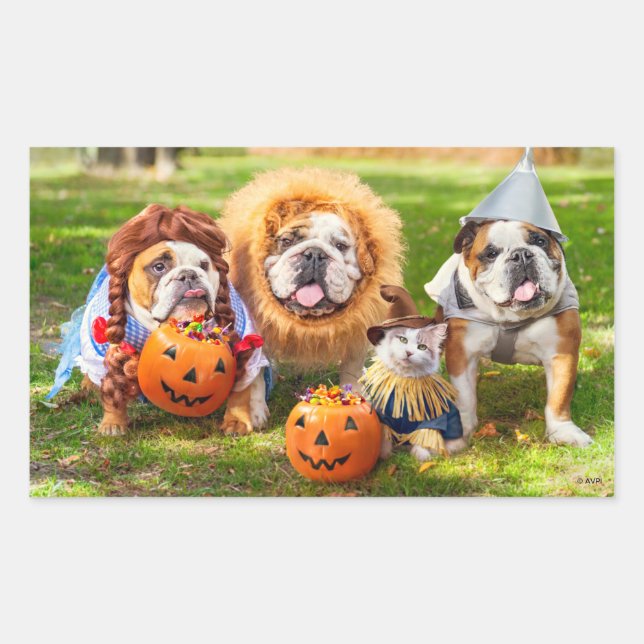 Three Bulldogs in Costumes Rectangular Sticker (Front)