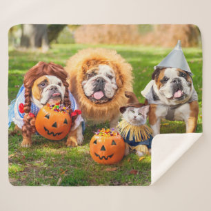 Three Bulldogs in Costumes Sherpa Blanket