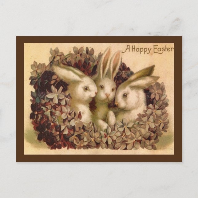 Three Bunnies Vintage Easter Greeting Postcard (Front)