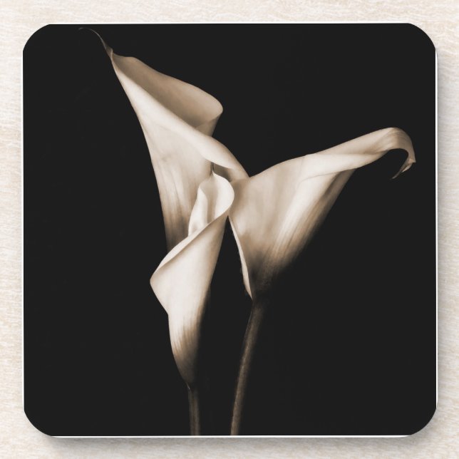Three Calla Lilies Beverage Coaster (Front)