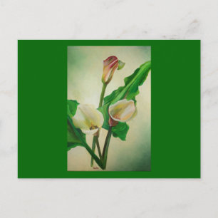Three Calla Lilies Stunning Botanical Acrylic Postcard