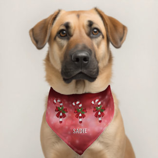 Three Candy Canes Holly Bows Red Magical Christmas Pet Bandana Collar