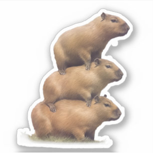 Three Capybaras Funny Capybara Humor Stack Animal  Sticker