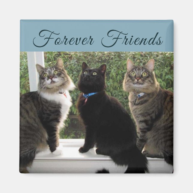 Three Cat Friends in The Window Magnet (Front)