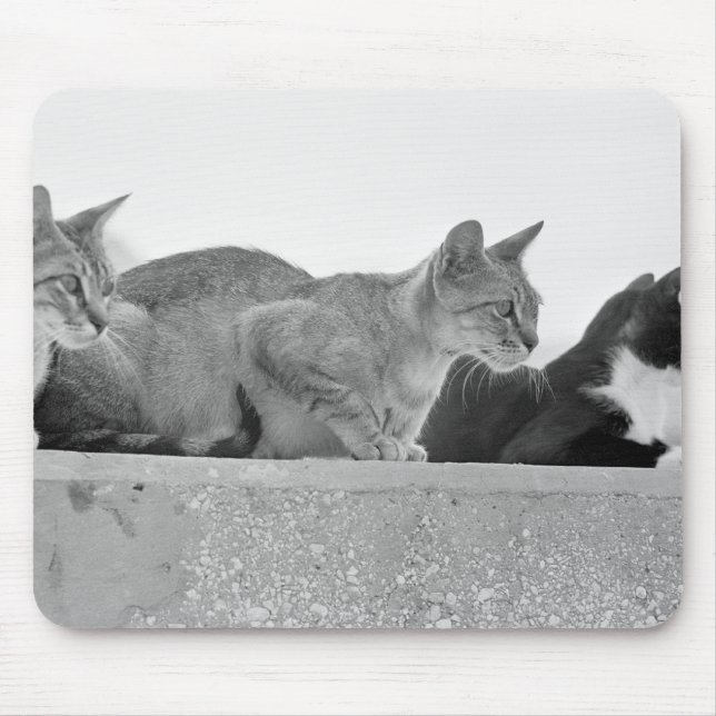 Three cats mouse pad (Front)