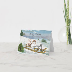 Three Cats on a Sled Winter Scene Christmas Card