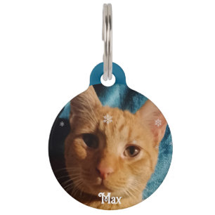 Three Cats Photos, Personalized Christmas Pet ID Tag
