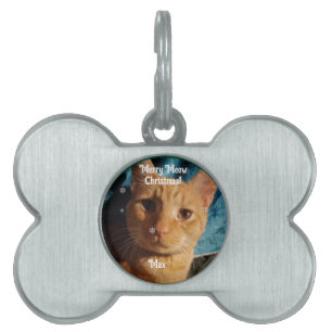 Three Cats Photos, Personalized Christmas Pet ID Tag