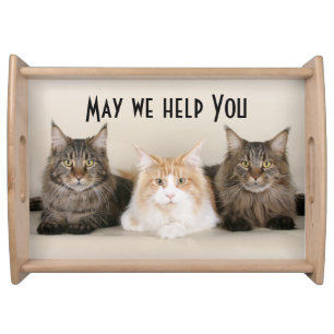 Three cats standing guard serving tray