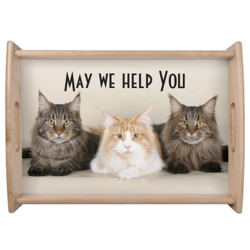Three cats standing guard serving tray