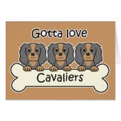 Three Cavalier King Charles Spaniels (Front Horizontal)