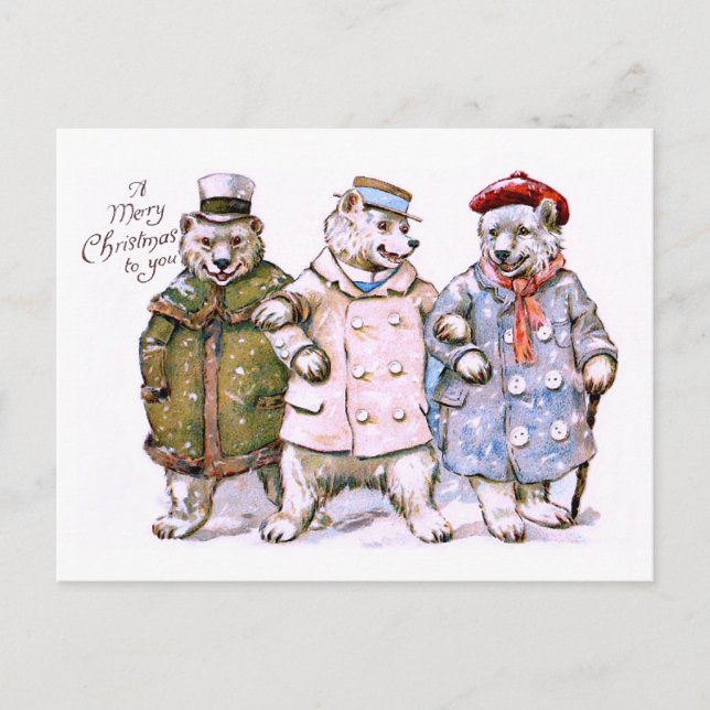 Three Charming Polar Bears Postcard (Front)