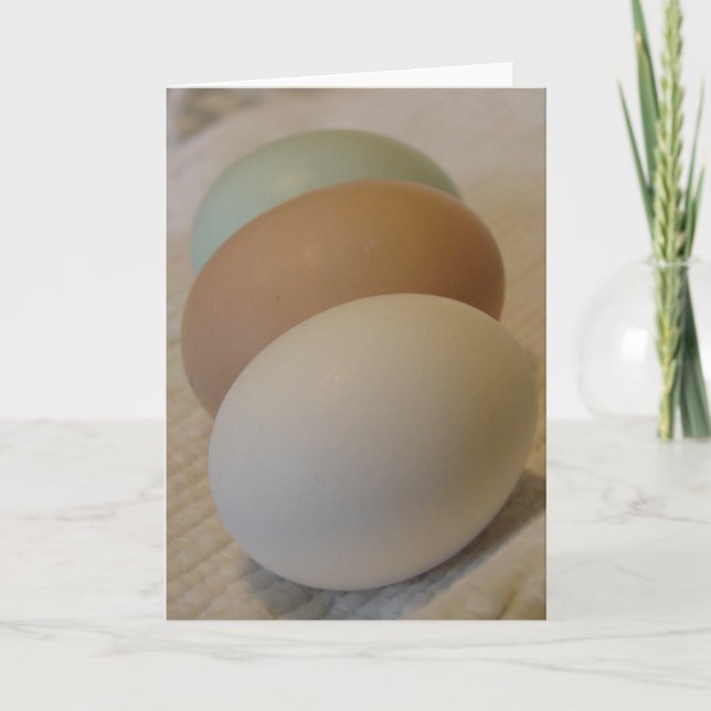 Three Chicken Eggs Card (Front)