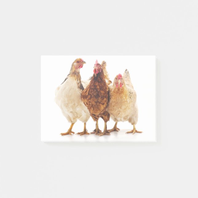 Three Chickens Post-it Notes (Front)