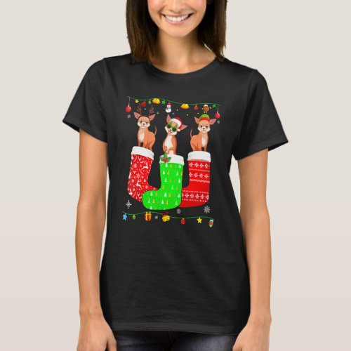 Three Chihuahua Dog In Christmas Socks Matching Xm T-Shirt