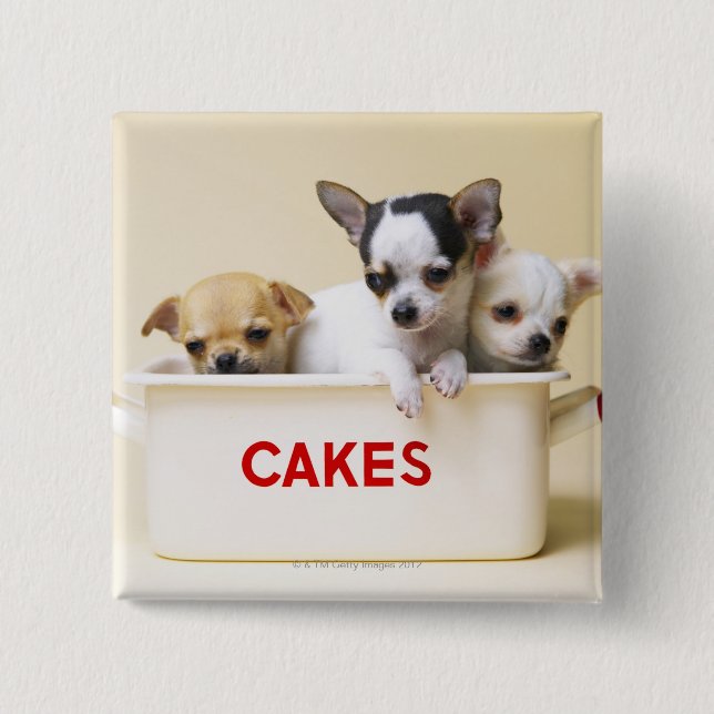 Three chihuahua puppies in cake tin button (Front)