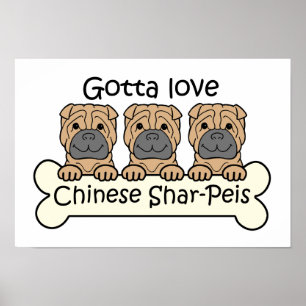 Three Chinese Shar-Peis Poster