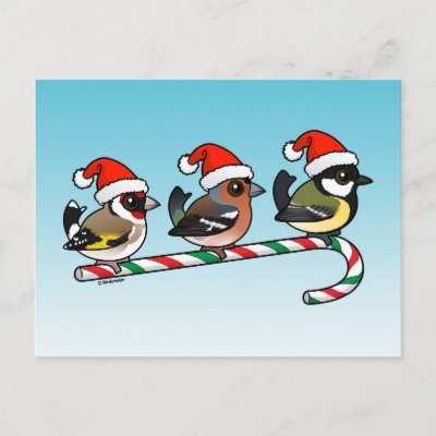 Three Christmas Finches (EU) Holiday Postcard