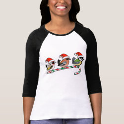 Three Christmas Songbirds (EU) Ladies Raglan Fitted T-Shirt