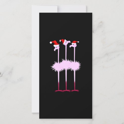 Three Christmas Flamingo