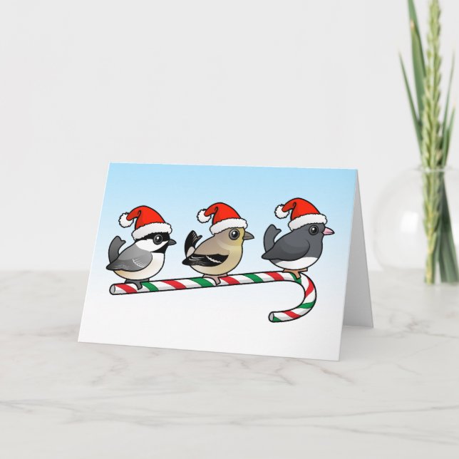 Three Christmas Songbirds (US) Holiday Card (Front)