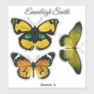 Three Colorful Butterflies Your Name Sticker
