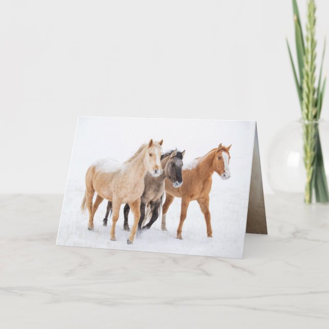 Three Colorful Horses - Greeting Card (Front)