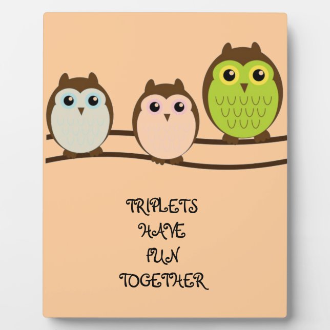 Three Colorful Owls Plaque (Front)