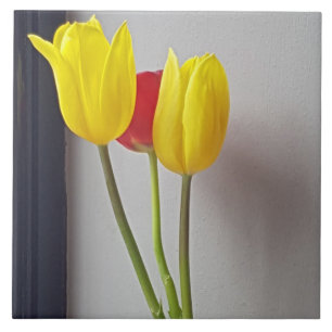 Three colorful tulips ceramic tile